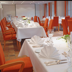 Corporate linens in a boardroom setting with standing-folded napkins into a fan shape