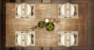 Dozen Poly Premier Placemats - Premier Table Linens - PTL 