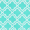 CollectionZipper:Aqua Blue Arelis Damask