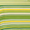 CollectionZipper:Green & Yellow Stripes
