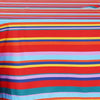 CollectionZipper:Multicolor Stripes 