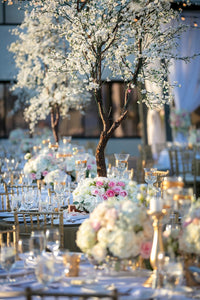 Duchess linens outdoors on tables next to  cherry blossom tree