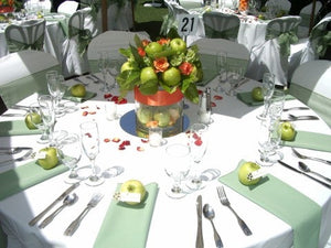 White Havana table linens at an outdoor celebration with apples on top