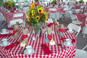 Checkered Outdoor Tablecloth With Umbrella Hole - Premier Table Linens - PTL 