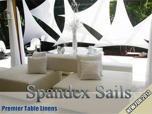 Right Triangle Spandex Hanging Sail - 3 Points - Premier Table Linens - PTL 