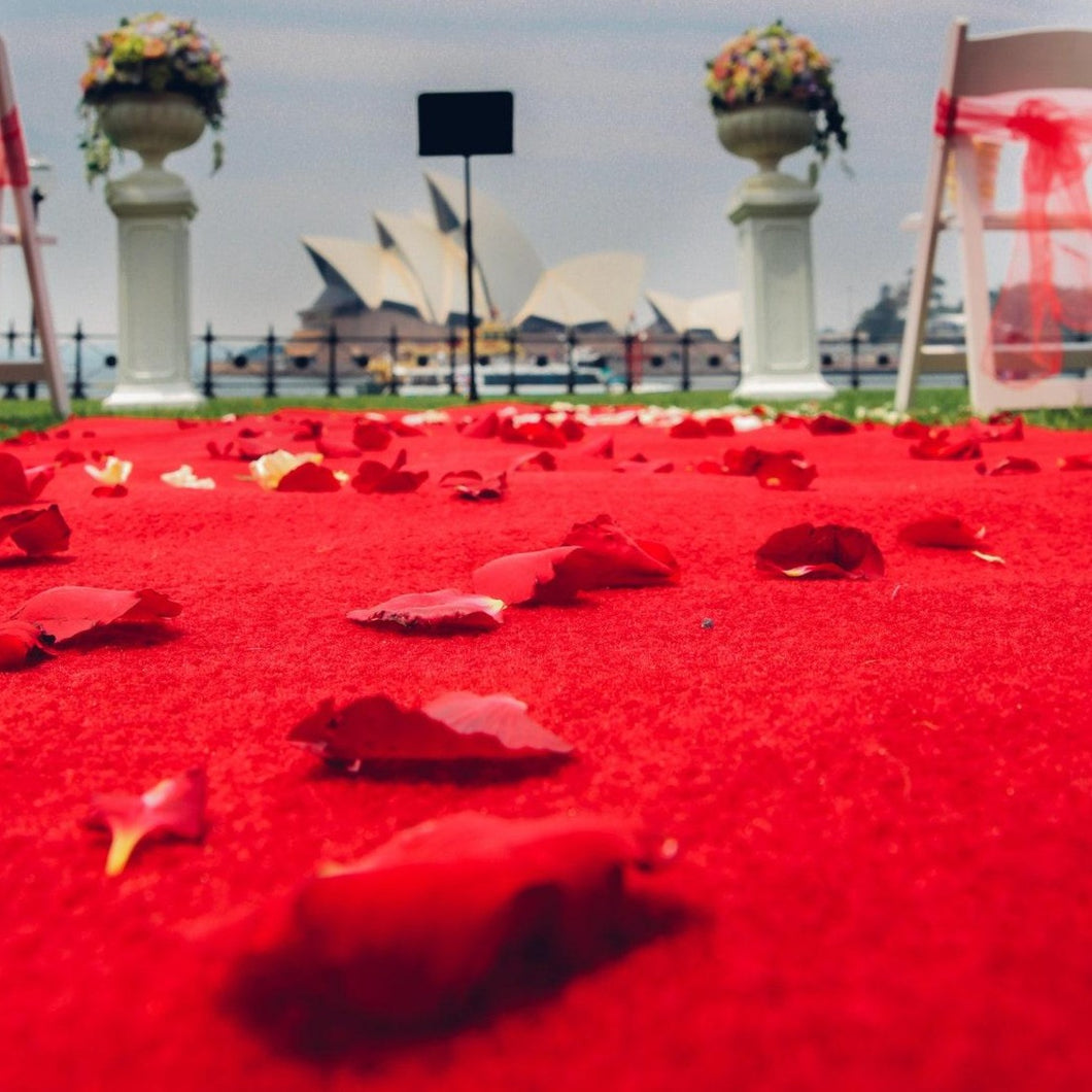 Red aisle runner with flower petals in Australian destination wedding
