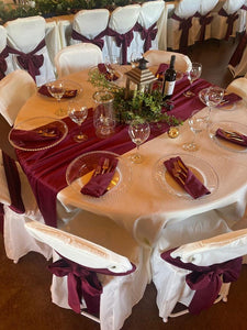 Velvet Chair Sashes - Premier Table Linens - PTL 